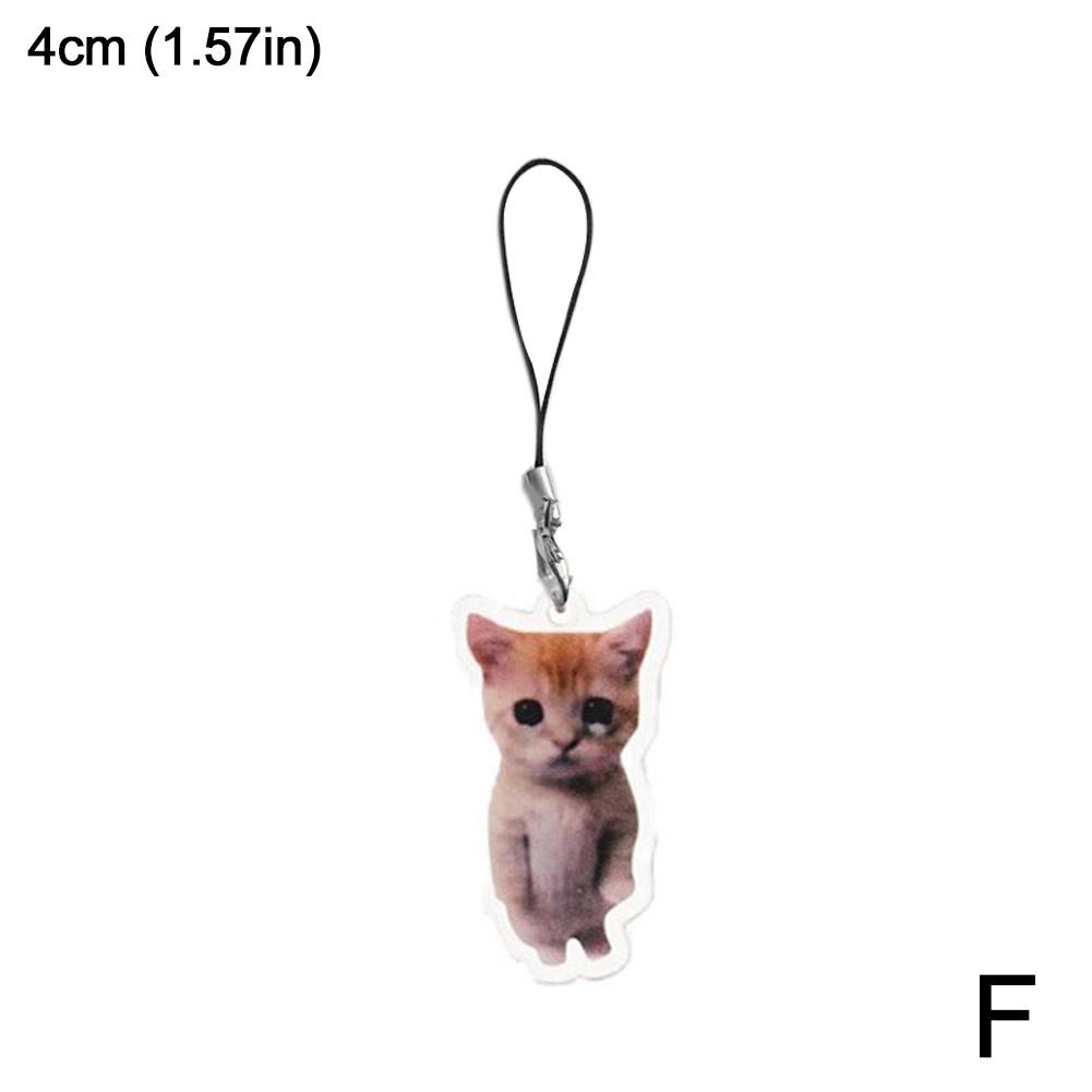 thumbnail image 1 of Llavero con forma de gato, cabeza de gato, plátano, expresión de gato, escultura de arena de celebridades, colgante de mochila escolar con forma de gato parodia, 1 of 2